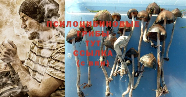 метадон Верея