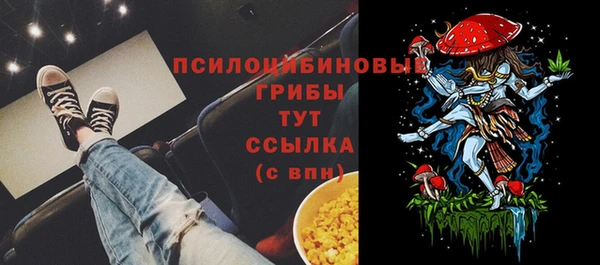 метадон Верея