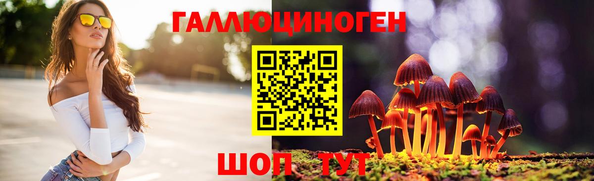 Псилоцибиновые грибы мицелий  Вход с VPN  купить  сайты  Заринск  Псилоцибиновые грибы Cubensis 